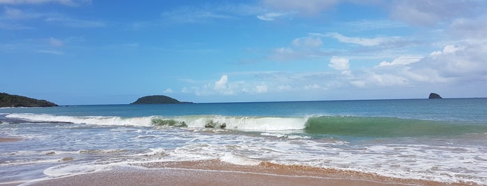 Plage de Cluny is one of Guadeloupe.