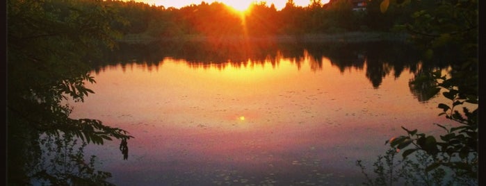 Финское озеро is one of Lieux qui ont plu à Vadim.