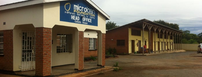 Microloan Foundation head office is one of Africa.