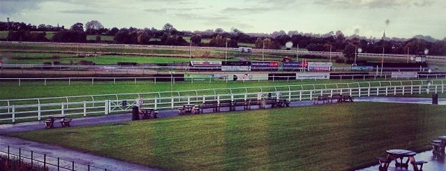 Lingfield Park Racecourse is one of 2 for 1 offers (train).