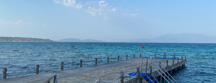 iyonya beach & restaurant is one of Çeşme alaçatı.