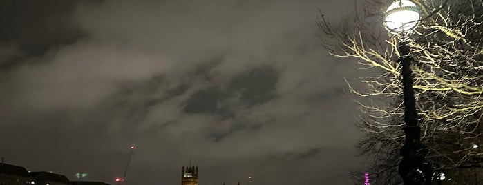 Albert Embankment is one of Tired of London, Tired of Life (Jan-Jun).