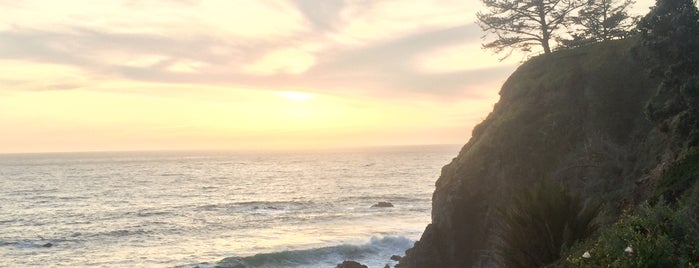 Esalen Institute is one of Central Coast CA.