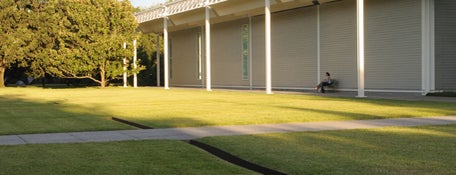 The Menil Collection is one of Museums.