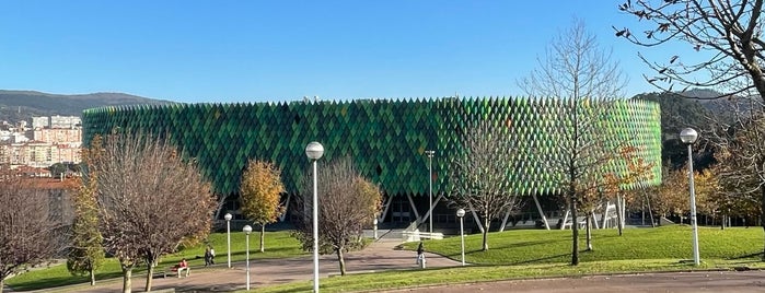 Bilbao Arena is one of Basque.