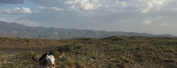 Lake Natron Camp is one of Posti salvati di Dan.