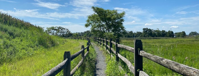 Hawk Rise Sanctuary is one of สถานที่ที่ Lizzie ถูกใจ.