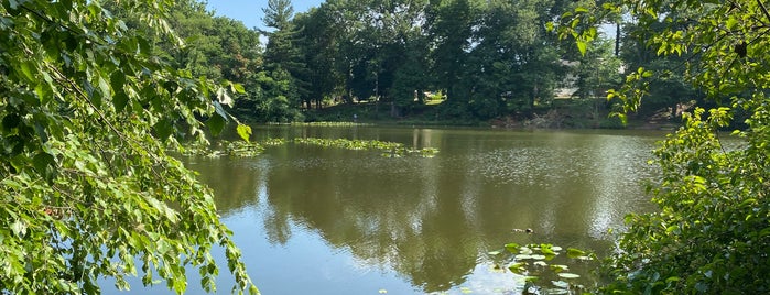 Milton Lake Park is one of Parks to check out.