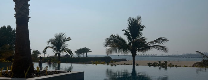 Le Royal Meridian Infinity Pool is one of Dubai.