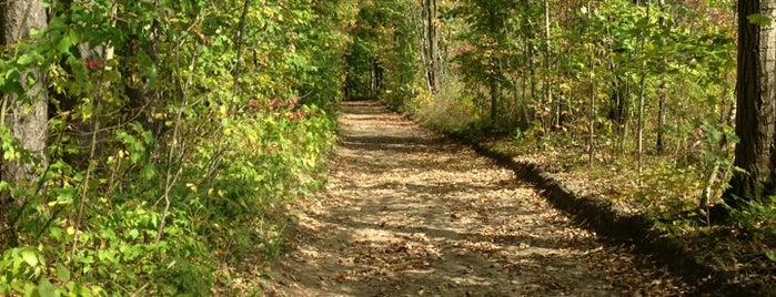 Eldred King Woodlands is one of Lieux qui ont plu à DJ.