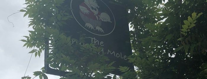 The Grumpy Mole is one of Lee’s Liked Places.