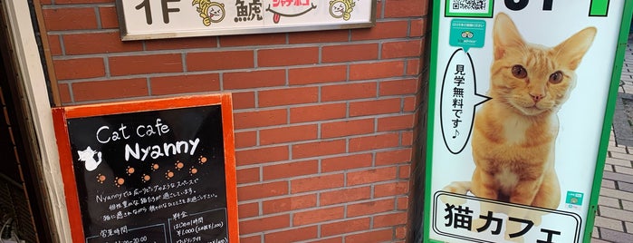 猫カフェ cat cafe Nyanny (ニャニー) is one of Osaka - To Do.