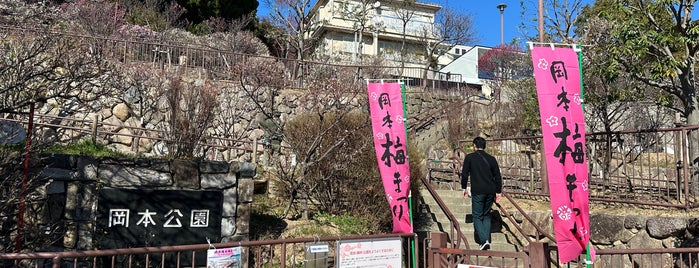 岡本梅林公園 is one of 公園/庭園/植物園.