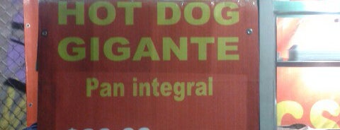 Hot Dog Gigante is one of Lugares a los que sí volvería..