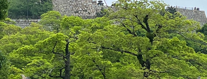 丸亀城 is one of 日本の100名城.