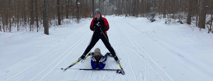 Notchview Nordic Ski Area is one of So You're in the Berkshires.