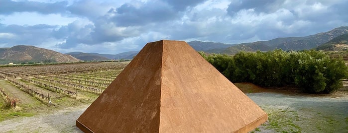 Vinicola Paralelo is one of Valle de Guadalupe - viñedos.