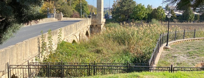 Babaeski Mimar Sinan Koprusu is one of Favorite Great Outdoors.