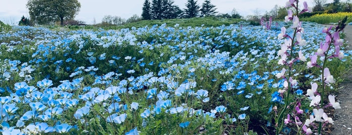 Tobu Treasure Garden is one of 行きたい.