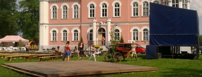 Bīriņu pils | Birini Castle is one of Aleksandrina'nın Kaydettiği Mekanlar.