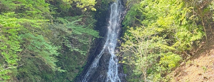 大沢の滝 is one of Guide to 愛甲郡's best spots.