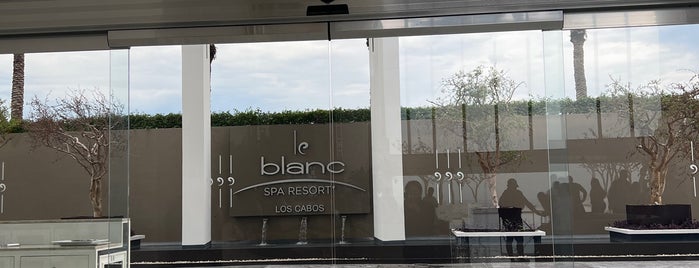 Le Blanc Spa Resort is one of Cabo.