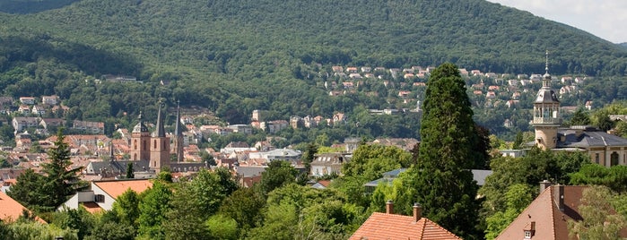 Pfälzerwald is one of Wandern Urlaub Touren.