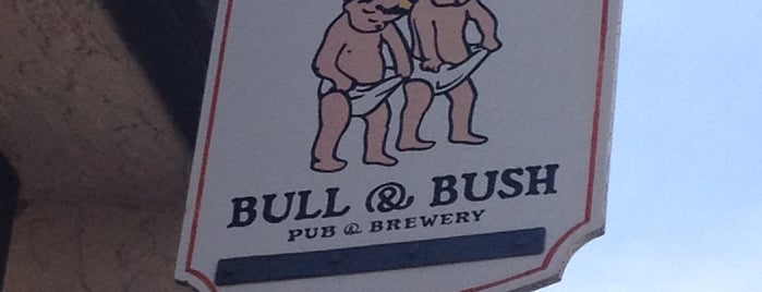 Bull & Bush Pub & Brewery is one of If I ever go back to Denver.