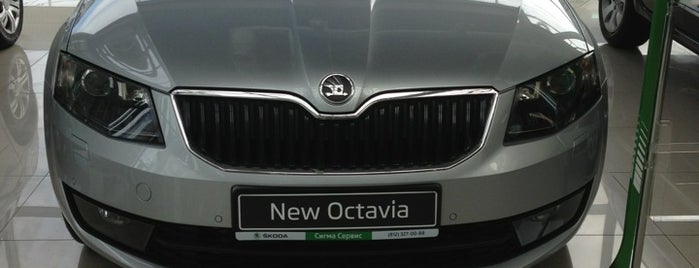 Skoda Auto is one of Locais curtidos por Tatiana.