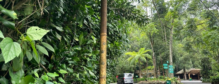 Taman Safari Indonesia is one of Fadlul 님이 좋아한 장소.