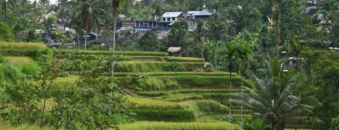 The Natural Terrace Rice is one of Tempat yang Disukai Alika.
