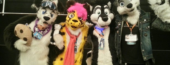 ConFuzzled 2014 is one of Furmeets / Cons.