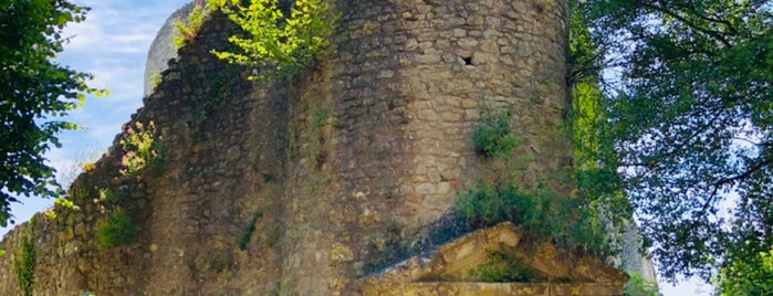 Château de la Roche-Guyon is one of Castles Around the World.