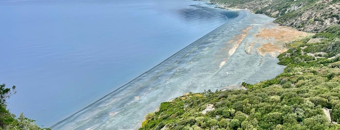 Plage de Nonza is one of Corsica.