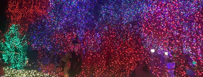 Deacon Dave's Christmas Lights is one of Lugares favoritos de Naren.