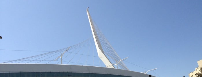 Calatrava Bridge is one of Travel.