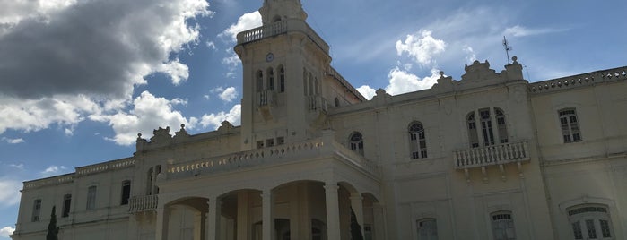 Prefeitura Municipal de Araguari is one of Novos.