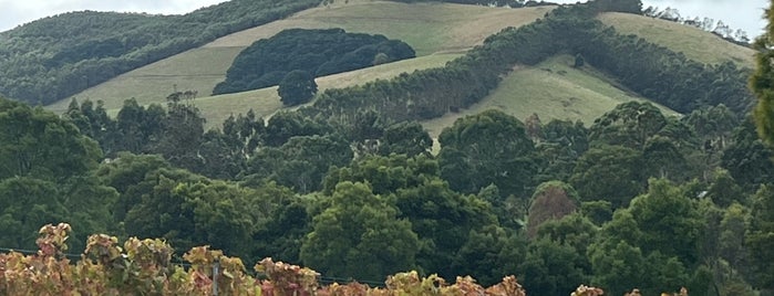 Waratah Hills Vineyard is one of Victorian wineries.