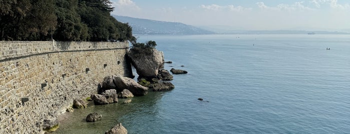 Parco di Miramare is one of Best places in Trieste.