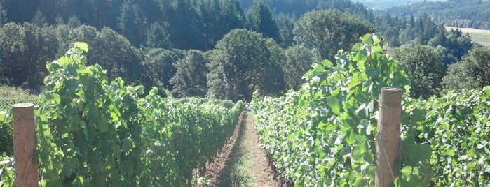 Beaux Freres Winery is one of Portland Wine Trip.