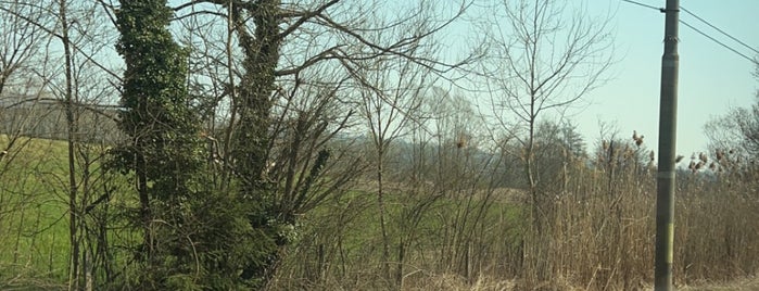 Stazione Albate Camerlata is one of Linee S e Passante Ferroviario di Milano.