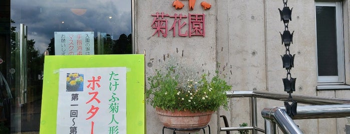 万葉菊花園 is one of Things to do around Echizen.