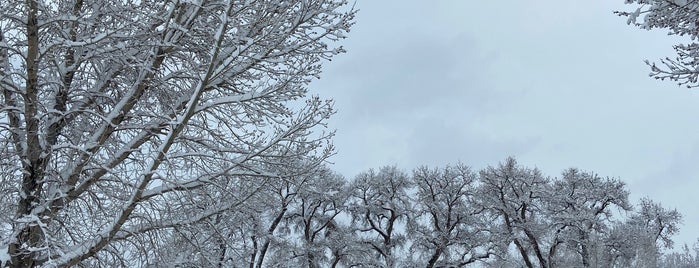 Cottonwood Glen Park is one of Fort Collins Parks.