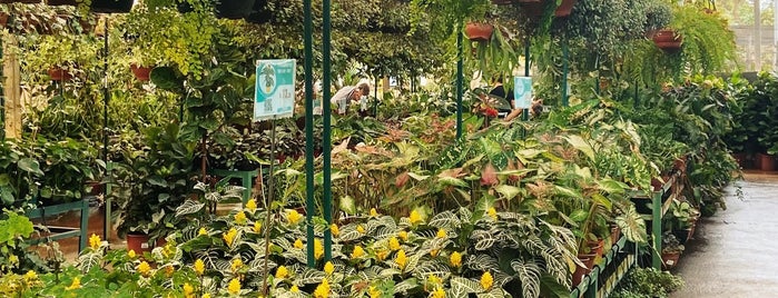 Matsuflora Garden Center is one of สถานที่ที่ Fernando Viana ถูกใจ.