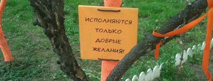 Дерево оранжевых желаний is one of 5 Просто удивительно!!! Вы знаете, что....