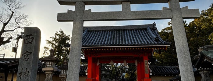 Nishinomiya Shrine is one of My experiences of Japan.