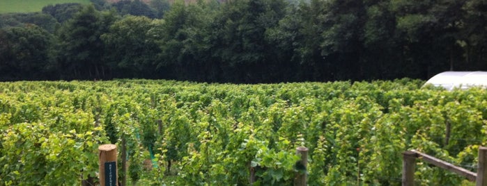 Camel Valley Vineyard is one of Things to do in Cornwall.