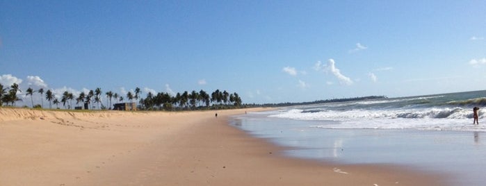Praia das Ondas is one of freesurf.