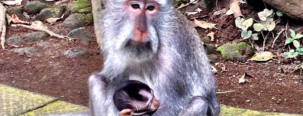 Sacred Monkey Forest Sanctuary is one of Best of Bali!.