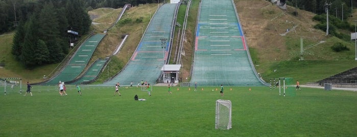 Olympia Skistadion is one of Locais curtidos por Peter.